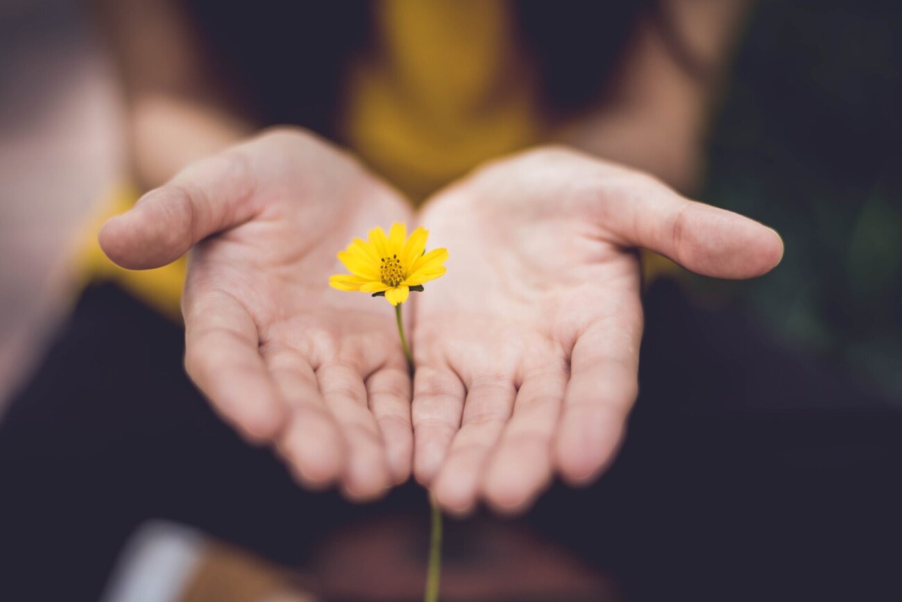 手のひらに小さな黄色い花